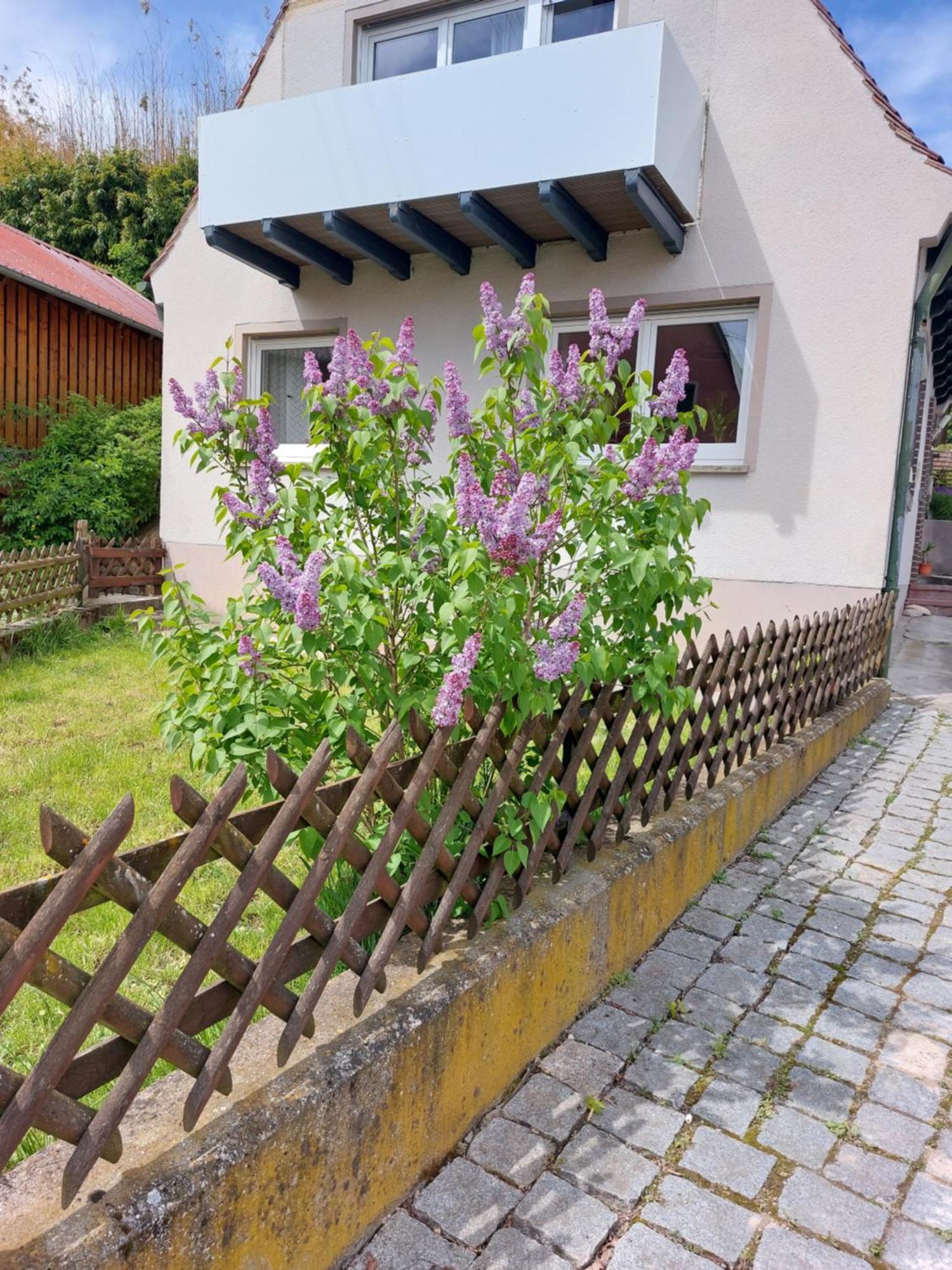 Sehr Beliebt! Ferienhaus Zur Donau Herbertingen Luaran gambar