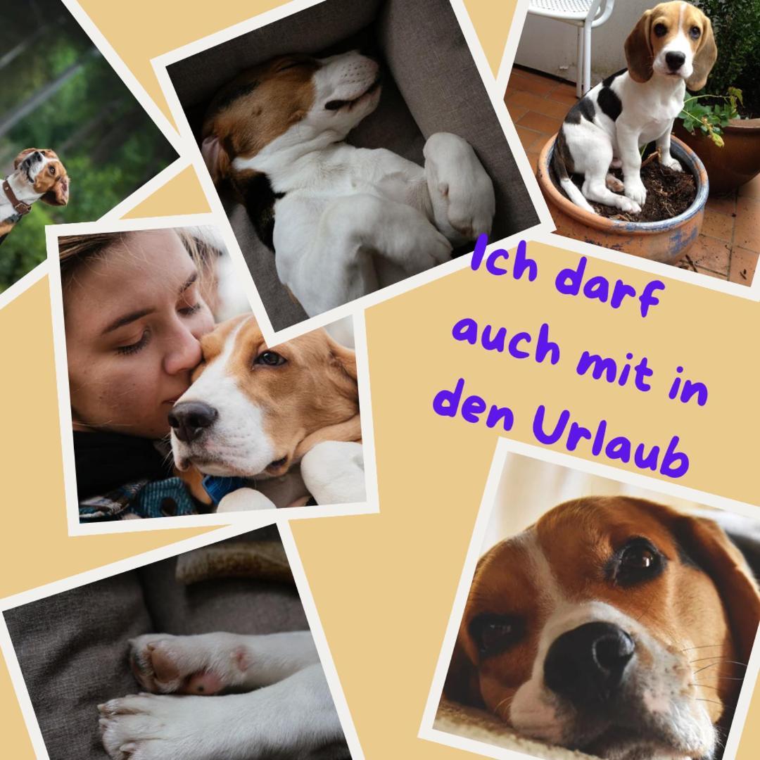 Sehr Beliebt! Ferienhaus Zur Donau Herbertingen Luaran gambar